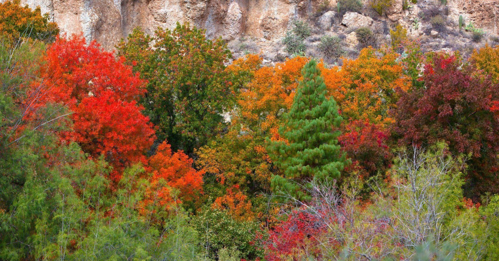 Holiday Inn Express Sedona - Oak Creek By Ihg Extérieur photo